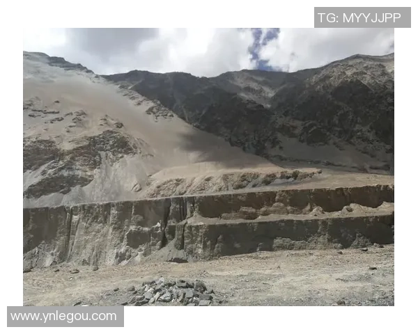 对话张娜：探索和平精英背后的成长与挑战之路