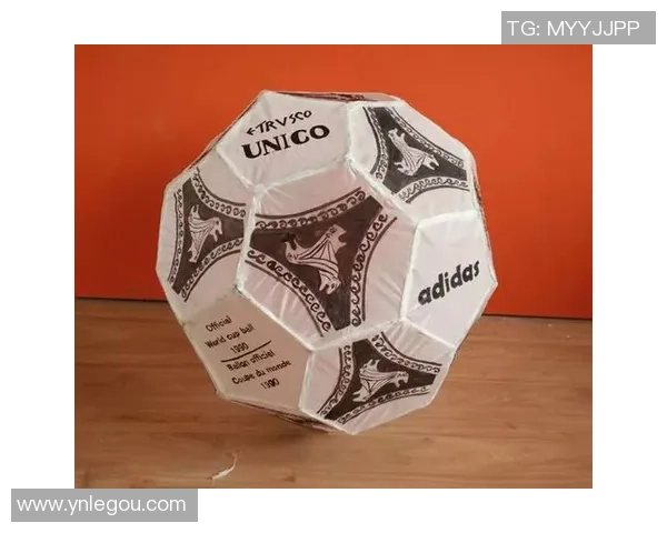 十个足球与六个袋子的奇妙组合探秘与创意玩法分享