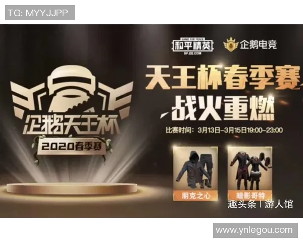 和平精英赛事深度解析：WE战队的成功经验与策略分享